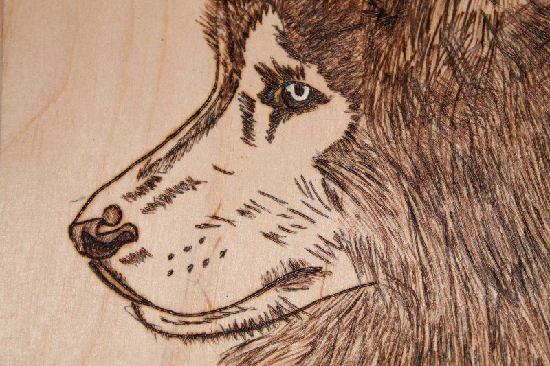 Выжигание по дереву