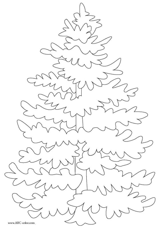 Ель раскраска для детей