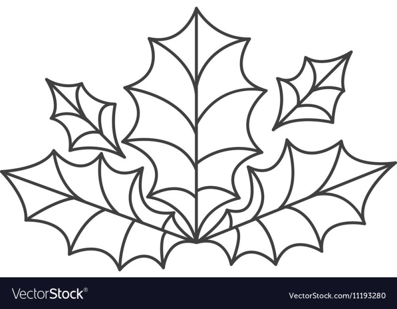 Остролист трафарет