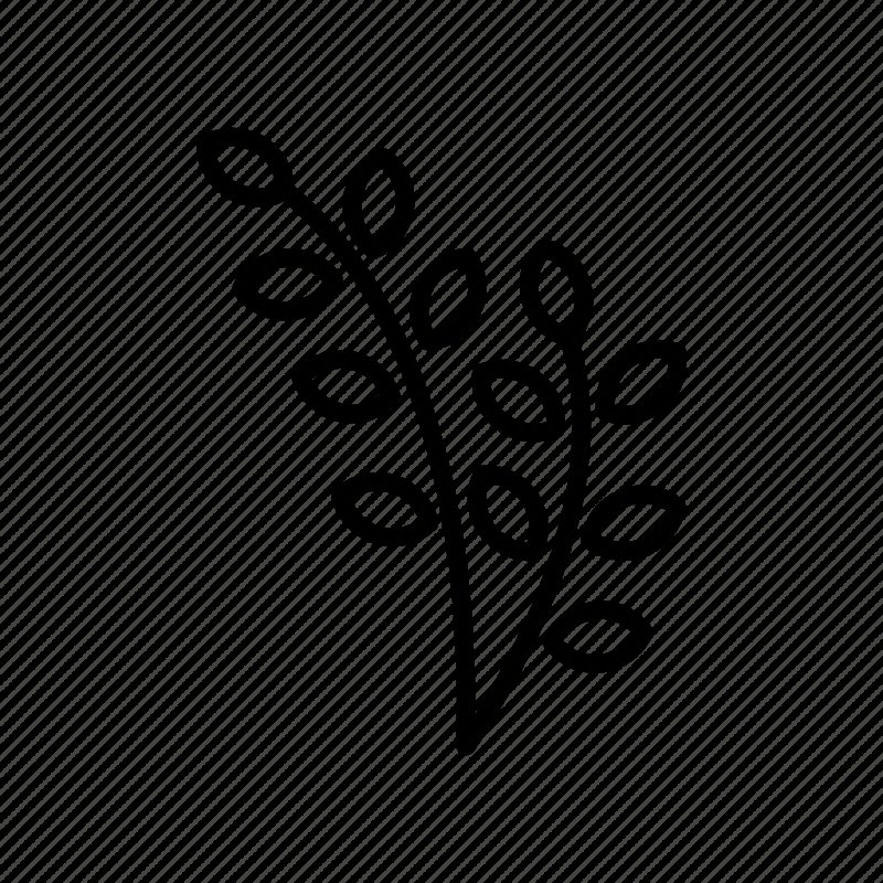 Веточки для рисования