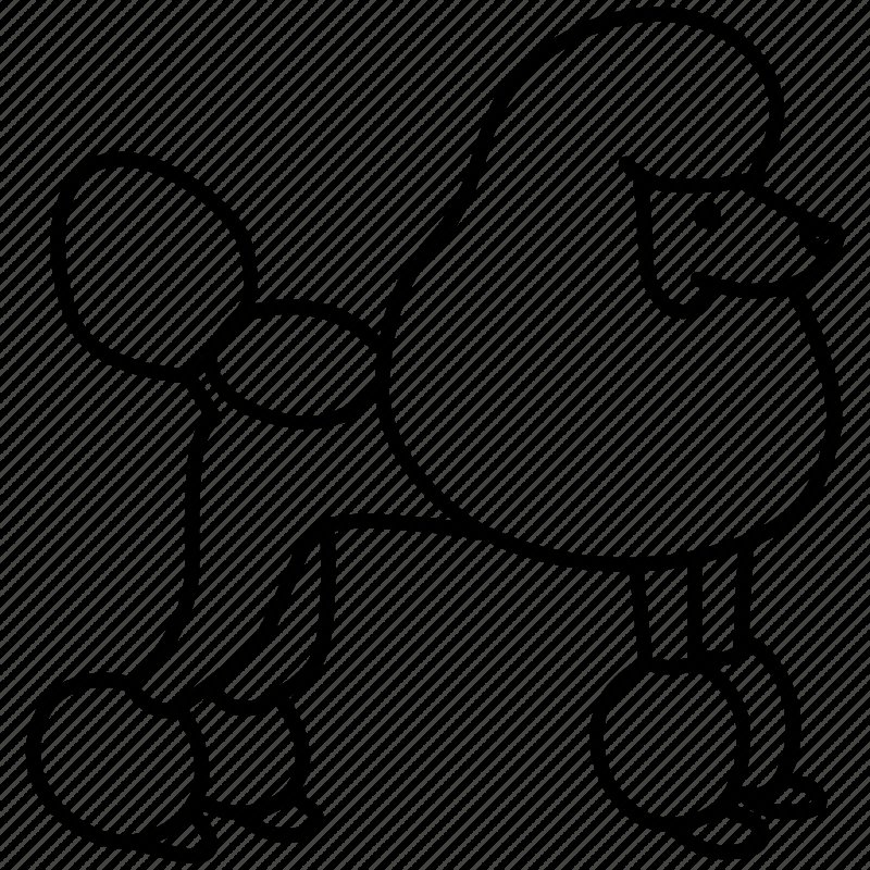 Пудель контур