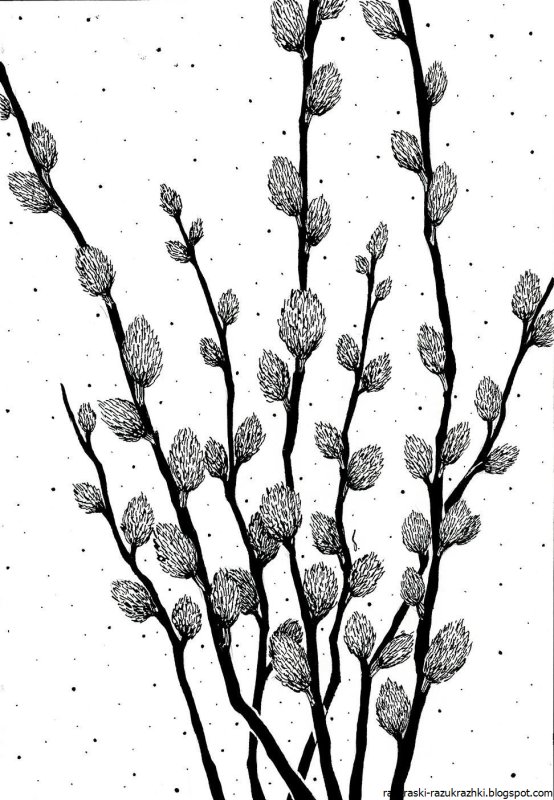 Верба референс