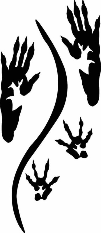 Следы крысы