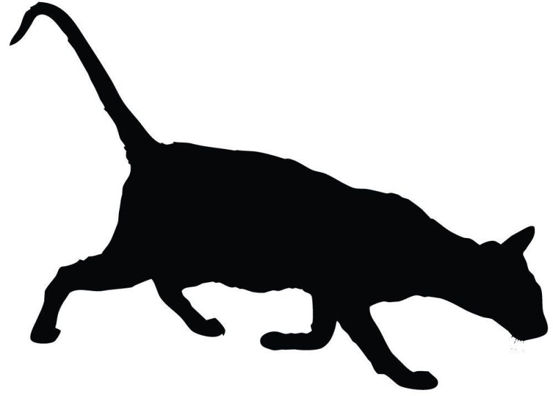 Силуэт крадущейся кошки