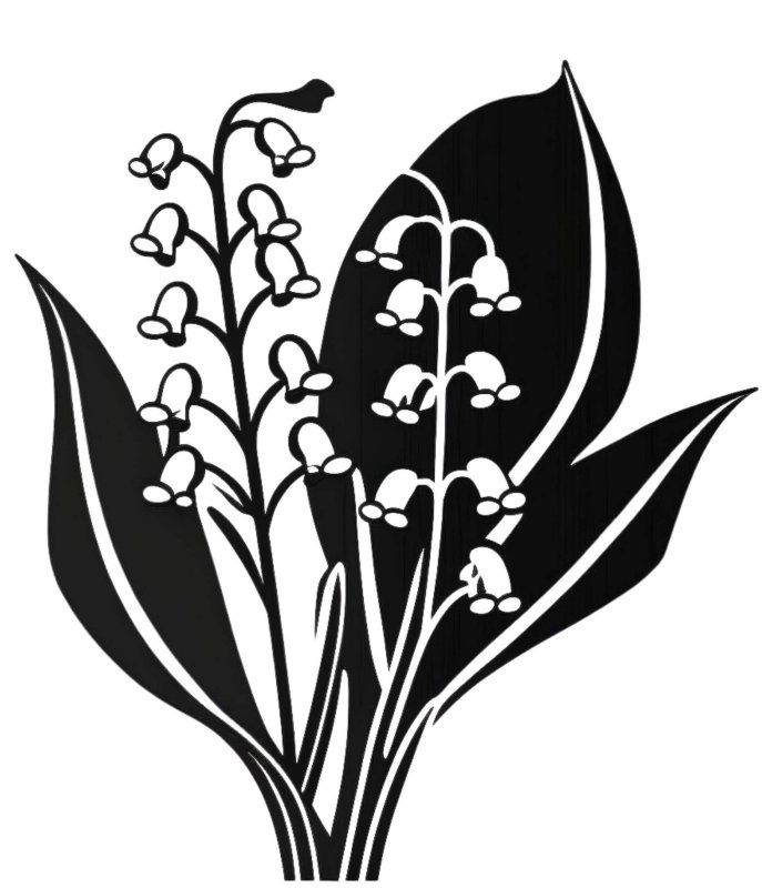 Ландыш Майский