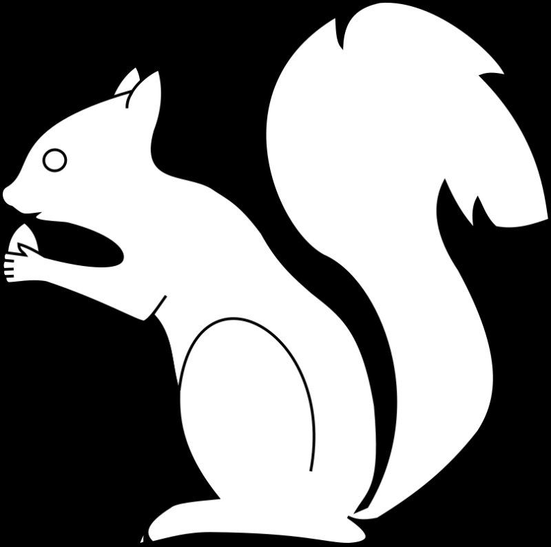 Белка раскраска