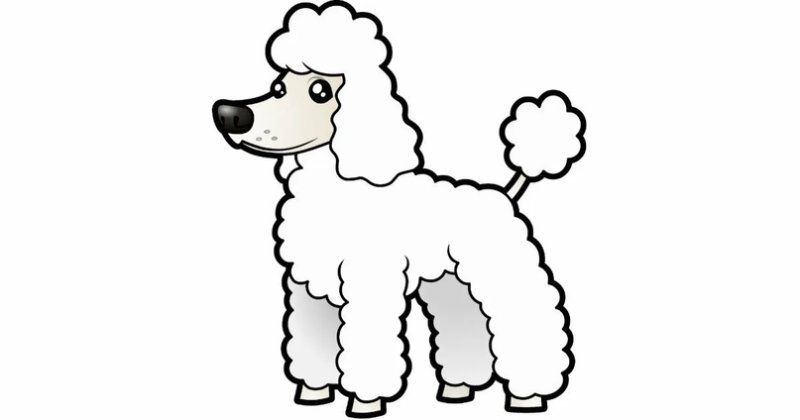 Пудель раскраска для детей