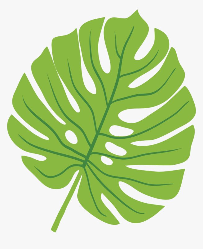 Тропические листья СВГ