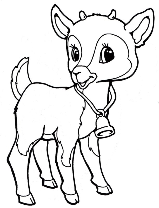Козленок раскраска для детей