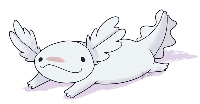 Аксолотль арт