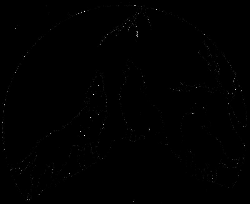 Силуэты лесных животных