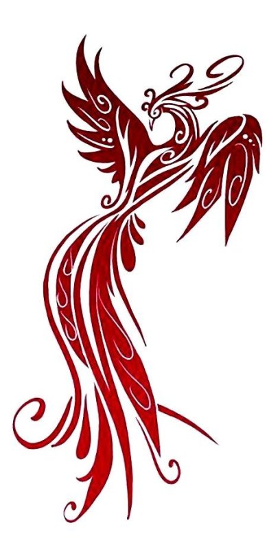 Феникс птица трайбл тату