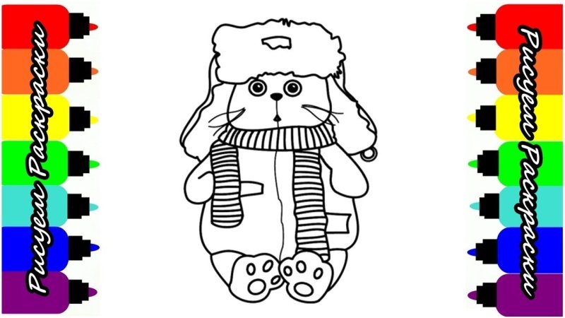 Раскраска котик Басик