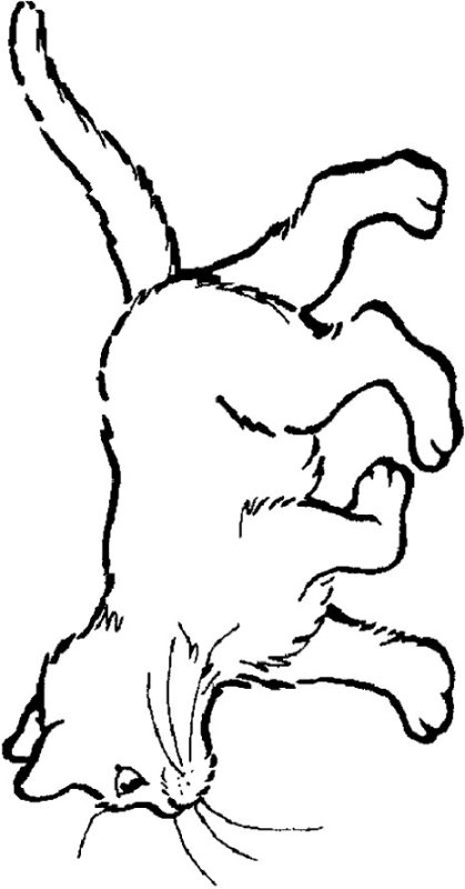 Кот рисунок раскраска