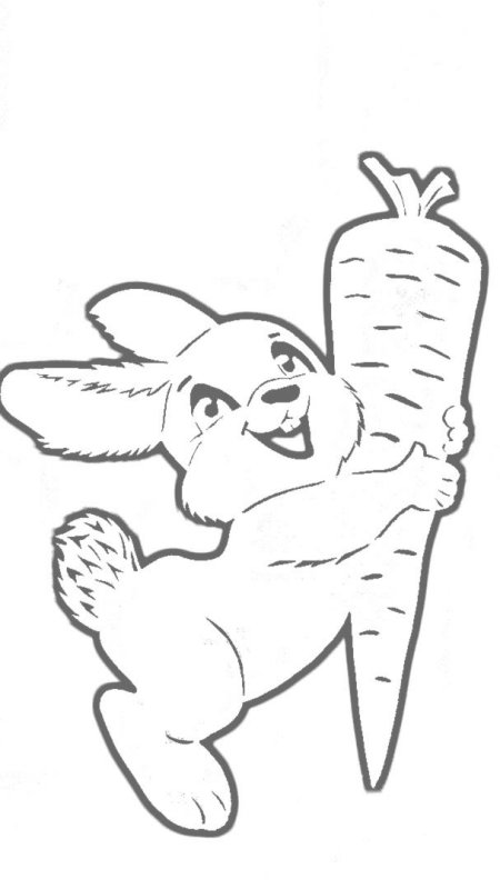 Раскраска зайчик с морковкой