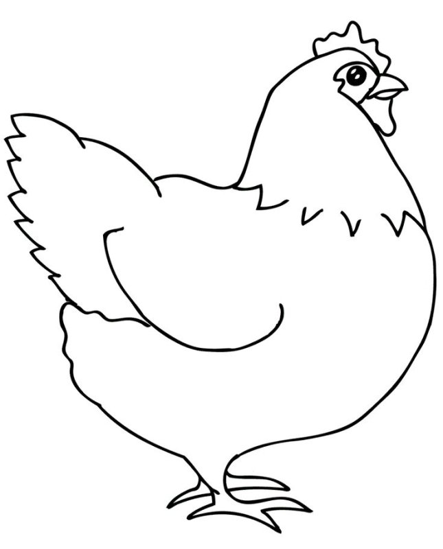 Курочка раскраска для детей