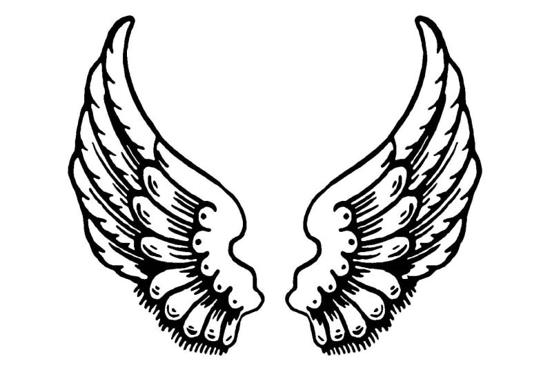 Крылышки трафарет