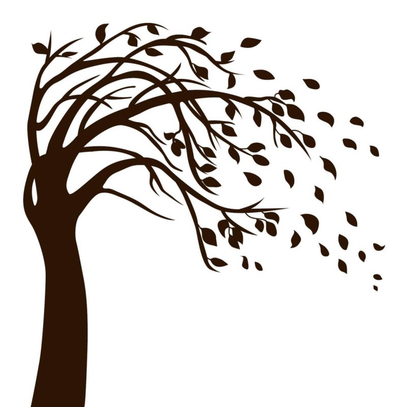 Силуэт дерева