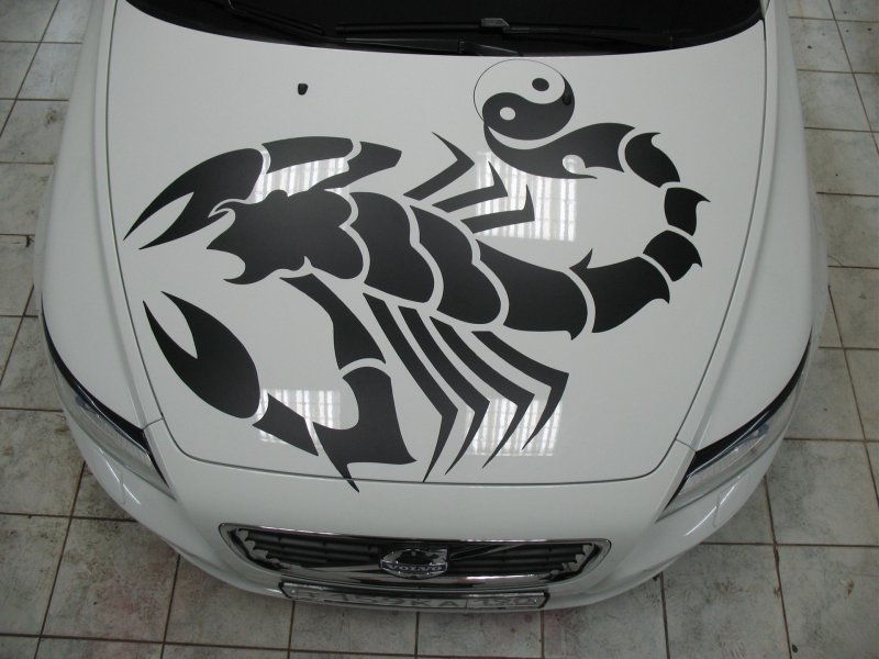 Трафарет автомобили