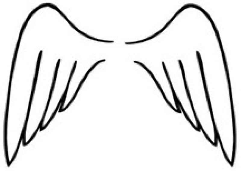 Крыло для распечатки