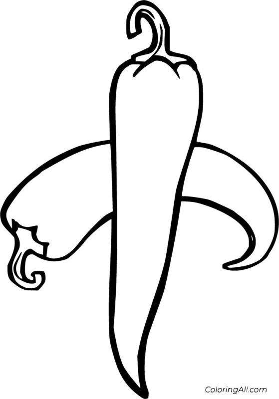 Перец раскраска