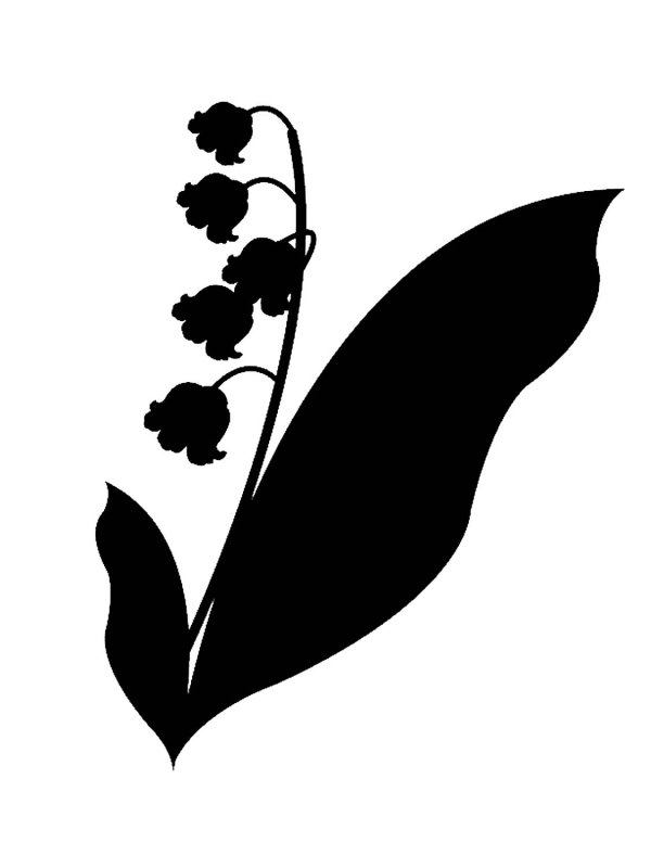 Ландыш контур