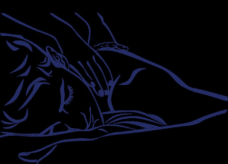 Массаж тела