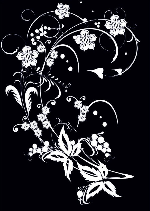 Красивые узоры на черном фоне