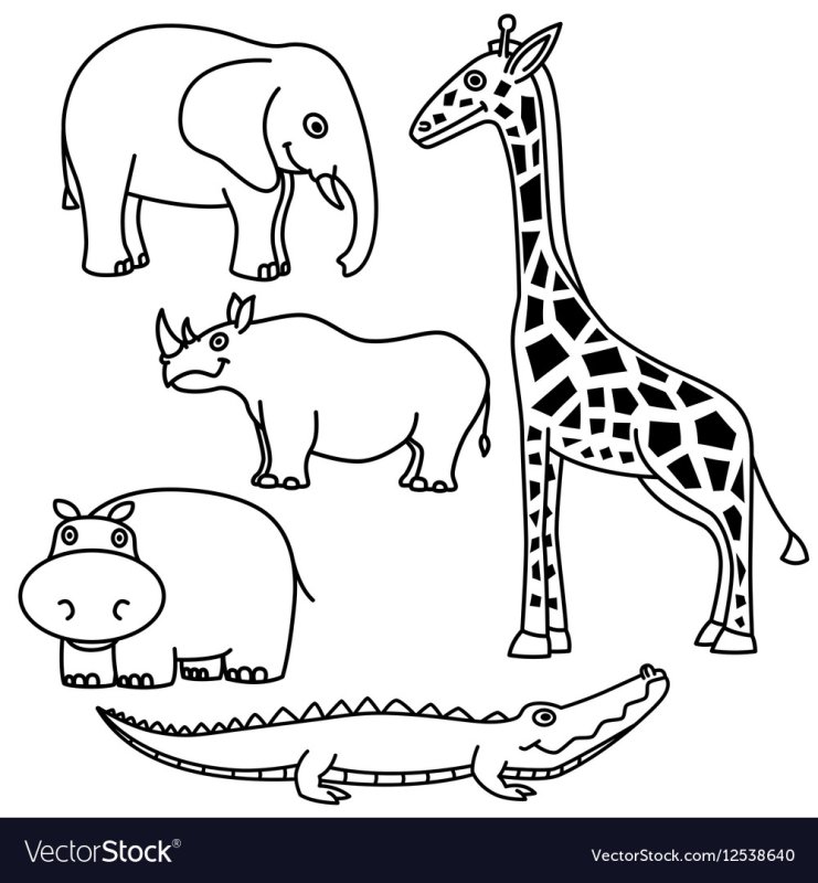 Контуры животных для детей