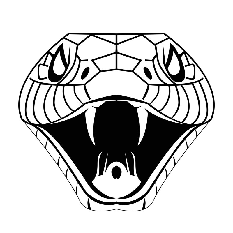 Голова кобры