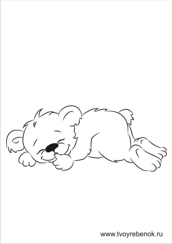 Спящий медведь раскраска
