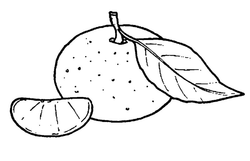 Фрукты раскраска для детей