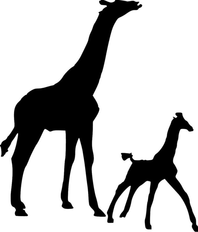 Жираф трафарет для вырезания
