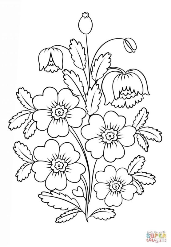 Цветы. Раскраска
