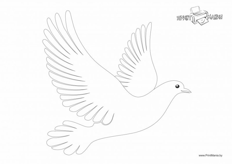 Трафарет голубя для вырезания из бумаги