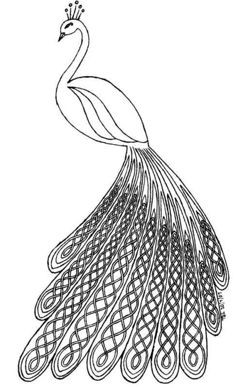 Павлин. Раскраска