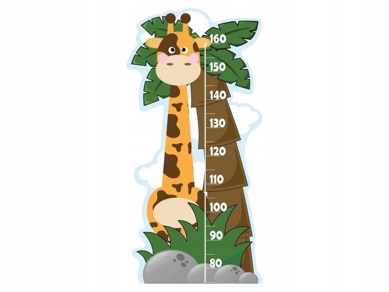 Линейка ростомер