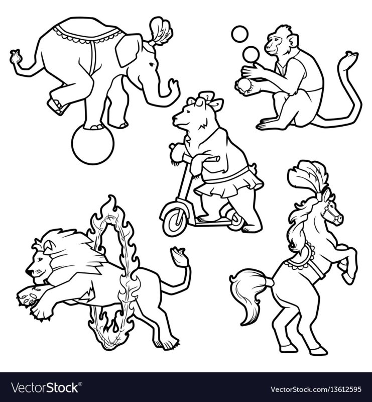 Цирк раскраска для детей