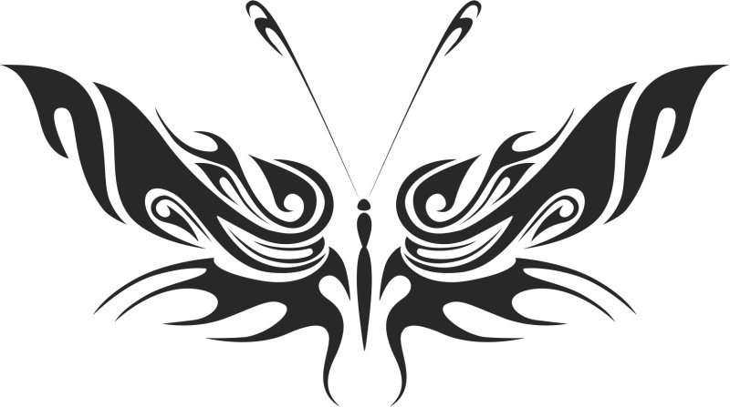 Бабочка вектор