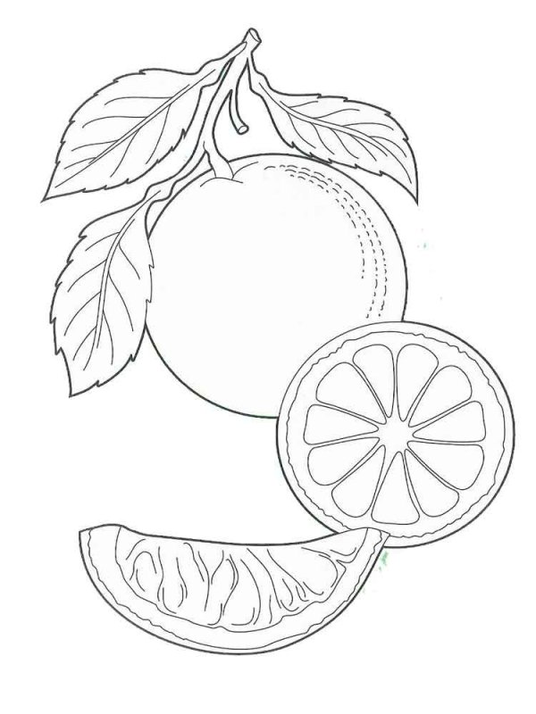 Апельсин раскраска для детей
