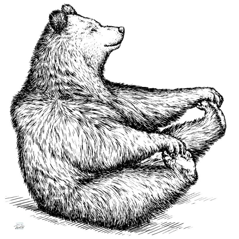 Медведь сбоку рисунок