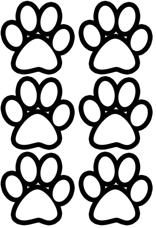 Лапка раскраска