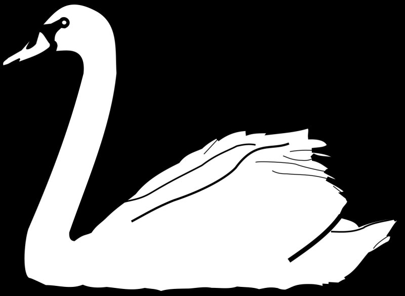 Лебедь раскраска для детей