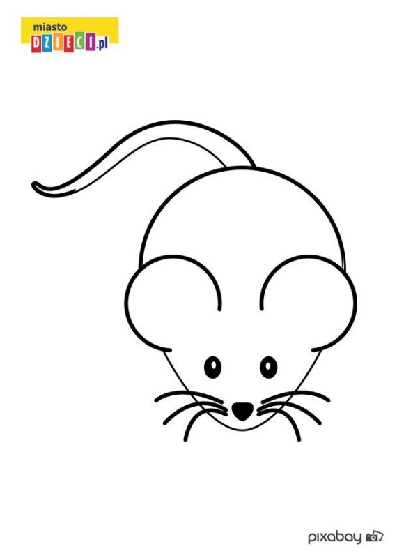 Mouse cartoon PNG