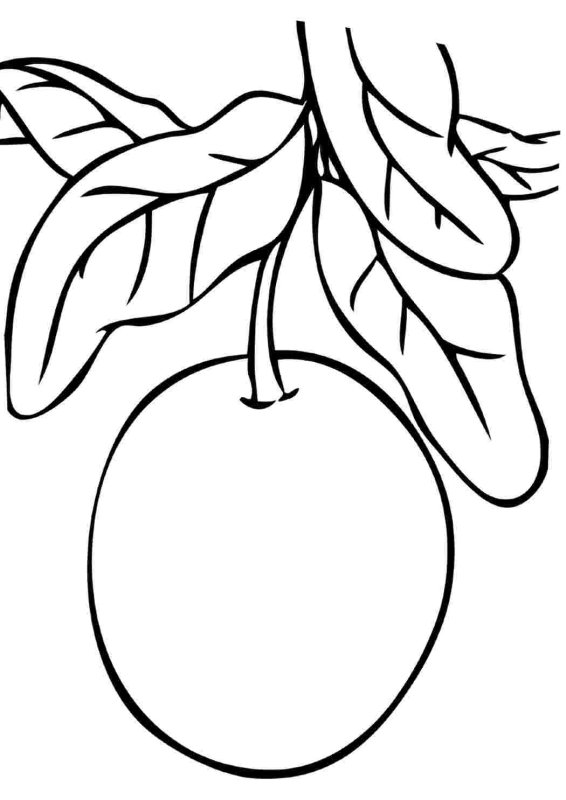 Фрукты для детей раскраска мандарин