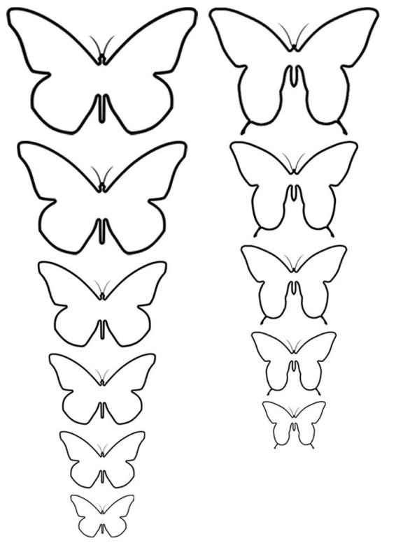 Трафареты бабочки