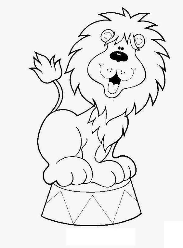 Цирковые животные раскраски для детей