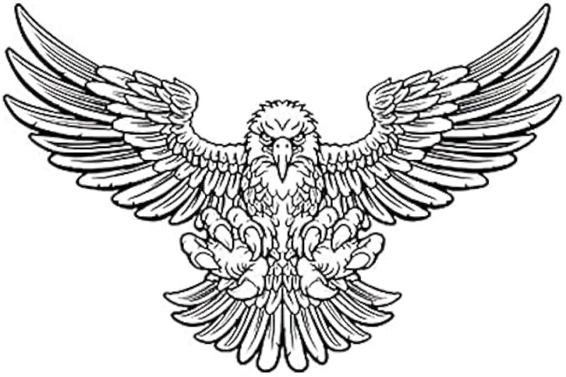 Орел с расправленными крыльями вектор