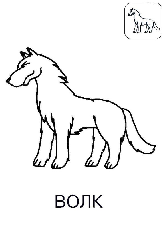 Волк раскраска для малышей