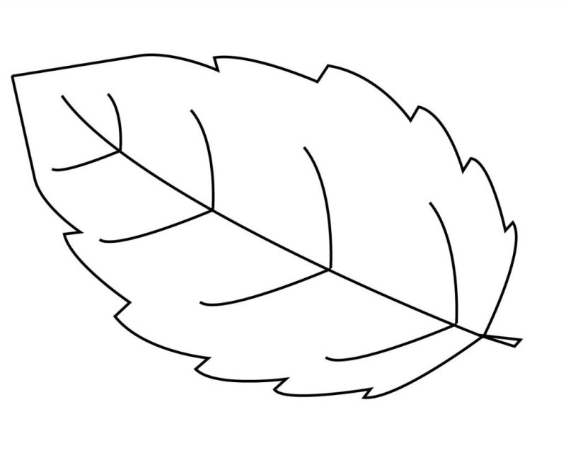 Листья раскраска